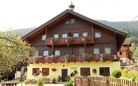 Haufhof-Pension am Bauernhof, Haus im Ennstal bei Schladming